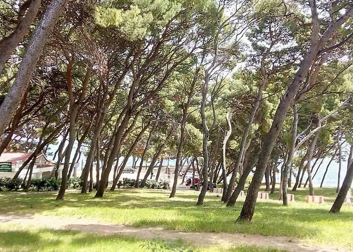 Sunshower And * Split